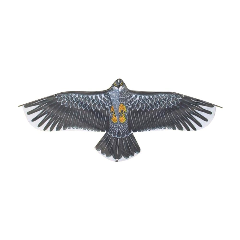 1.1m Eagle Kite With 30m Kite  - Fly Line บทวิจารณ์และราคา