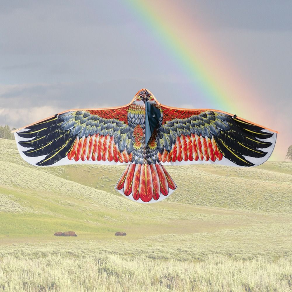 1.1m Eagle Kite With 30m Kite  - Fly Line บทวิจารณ์และราคา